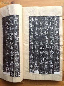 全稱為 大唐故特進行右衛(wèi)大將軍兼檢校右羽林軍仗內供奉上柱國卞國公贈并州大都督泉君墓志銘