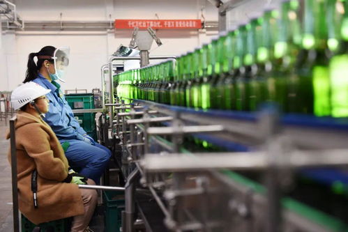 青島啤酒 苦待第二春的挑戰(zhàn)與機(jī)遇